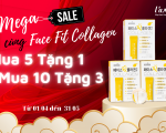 Mega Sale Cùng Fcae Fit Collagen